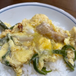 葉玉ねぎの親子丼